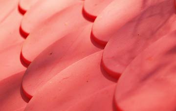 Doddington plastic roof costs